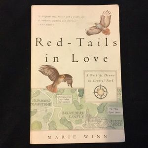 Red-Tails in Love